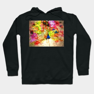 Pavo Grunge Watercolor Hoodie